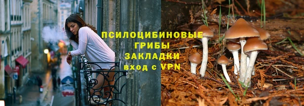 крисы Кодинск