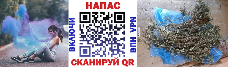 Купить закладки  Клинцы  МАРИХУАНА сатива 
